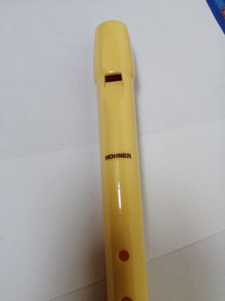 Coppia due flauto musica scuola yamaha honer