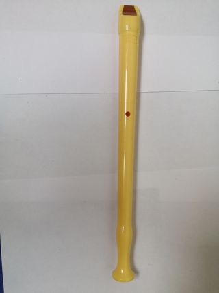 Coppia due flauto musica scuola yamaha honer