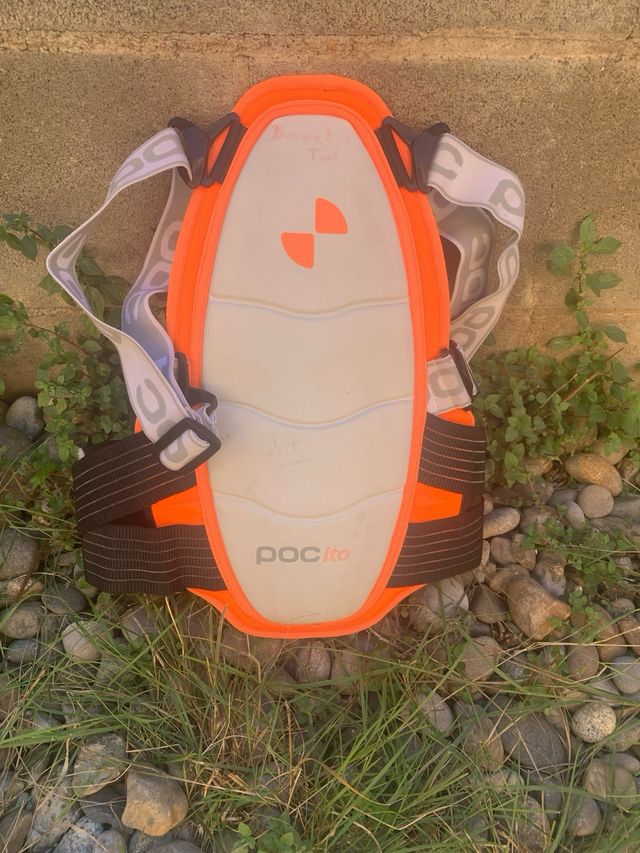 Protección dorsal tortuga