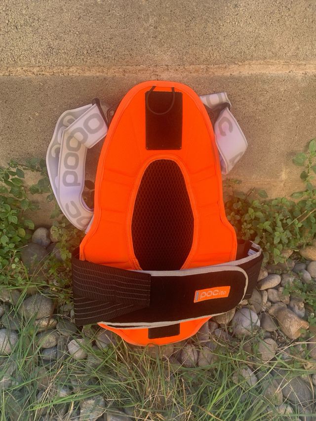 Protección dorsal tortuga