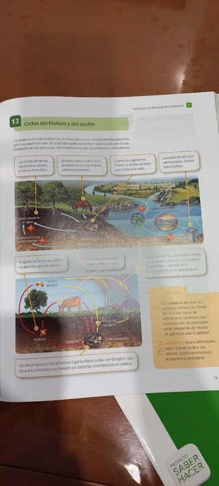 Libro BIOLOGIA Y GEOLOGIA 4 ESO
