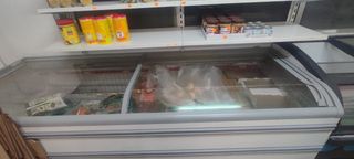 631213000 deja wasap congelador industrial