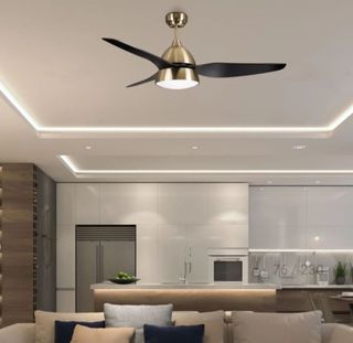 Ventilatore da soffitto