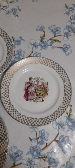 Hermosos platos antiguos franceses 9 unidades