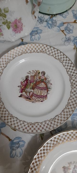 Hermosos platos antiguos franceses 9 unidades