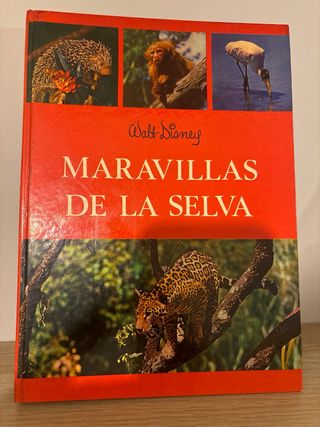Maravillas de la selva