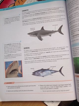 Biología i geología primero secundaria