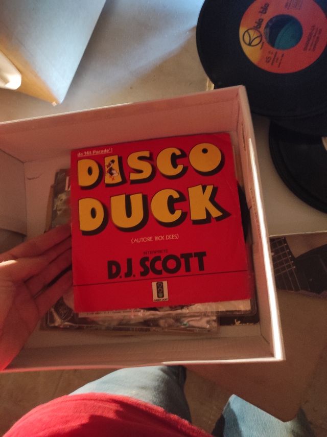 Vecchi vinili per arredamento