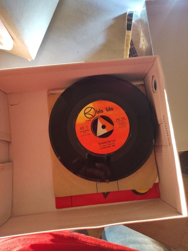 Vecchi vinili per arredamento