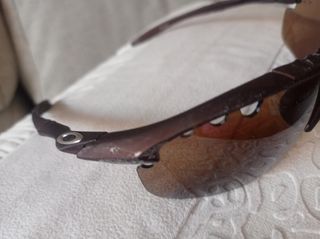 Gafas de Sol 