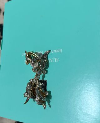Pendientes largos