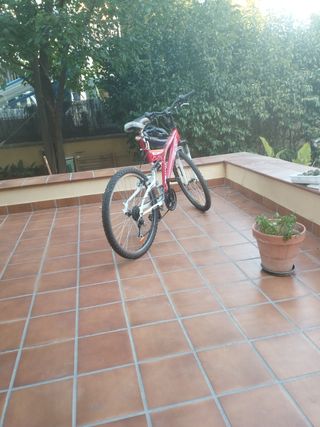 Bicicleta de paseo