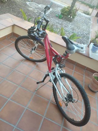 Bicicleta de paseo