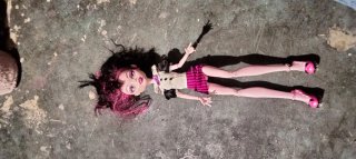 Lote Barbies y otras muñecas, lady bag..
