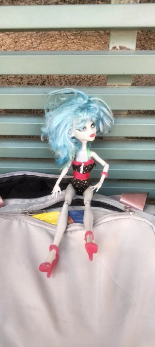 Lote Barbies y otras muñecas, lady bag..