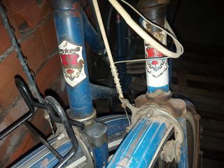 Wolsit coppia di biciclette + 1 legnano da donna