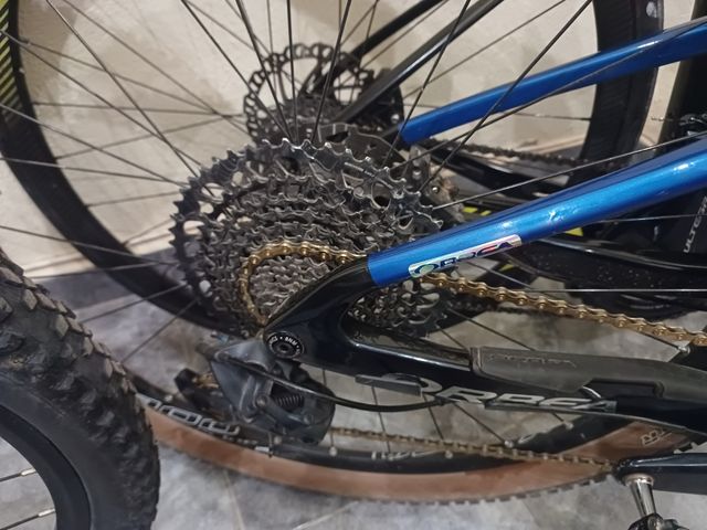 Orbea occam