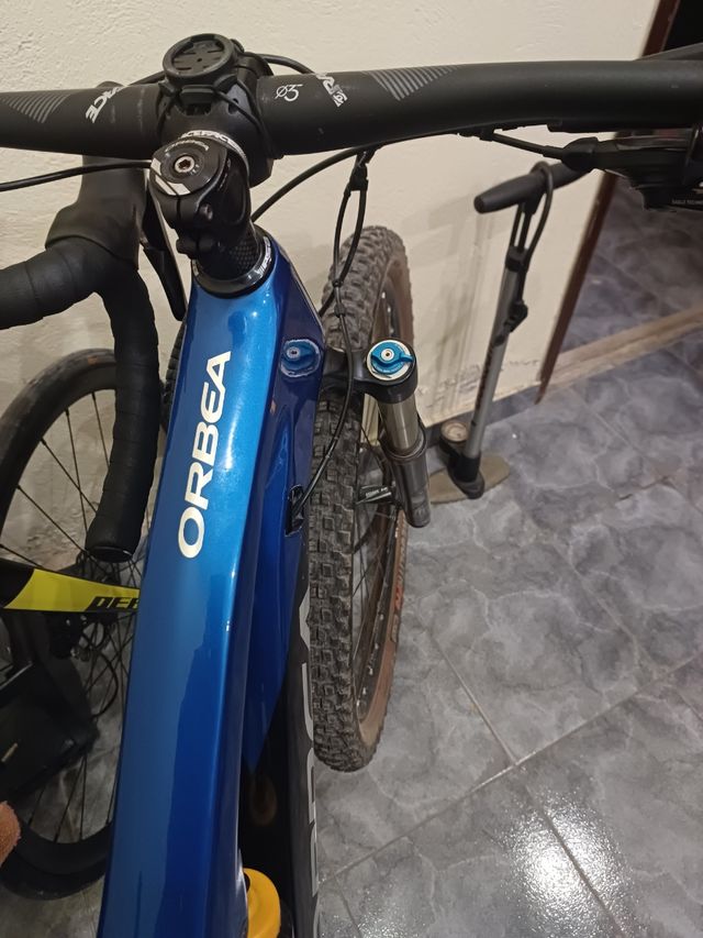 Orbea occam