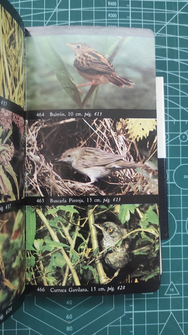 Guía de las aves de España y Europa