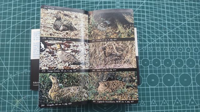 Guía de las aves de España y Europa