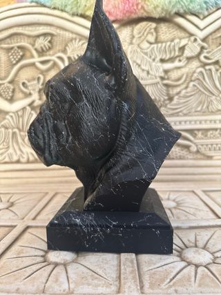 Busto bulldog frances