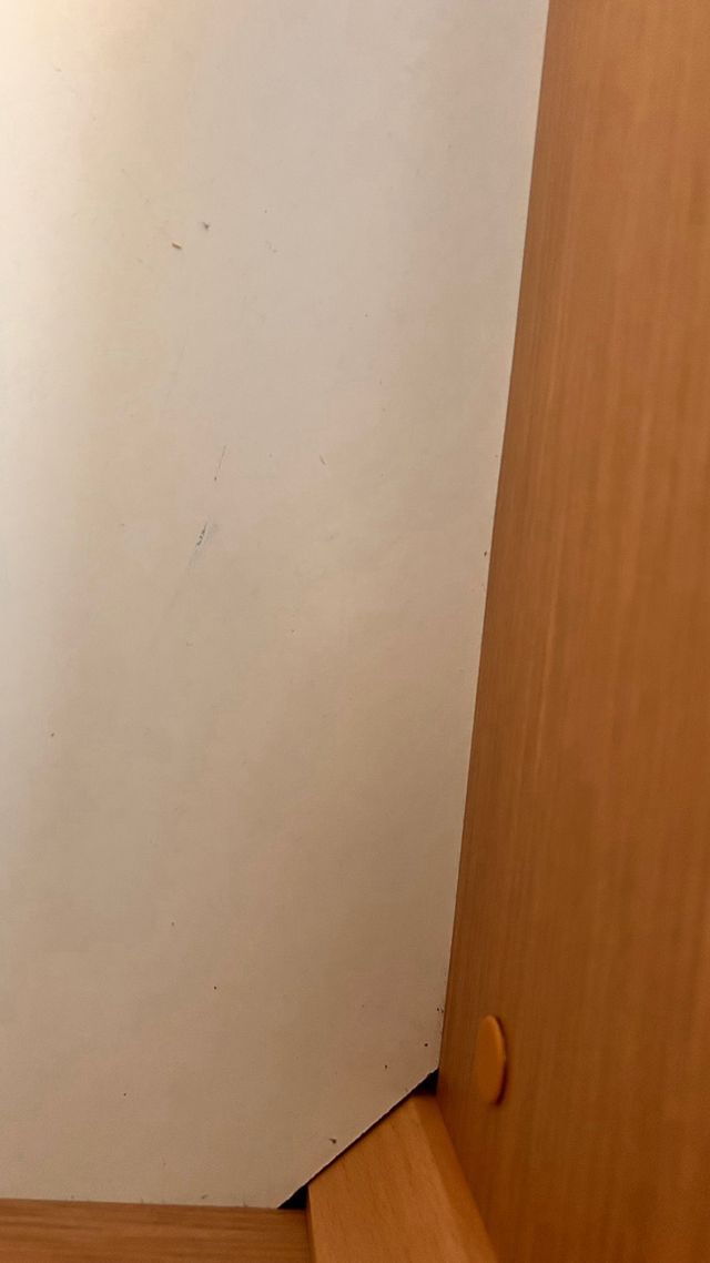 Canapé 1.05*2 metros