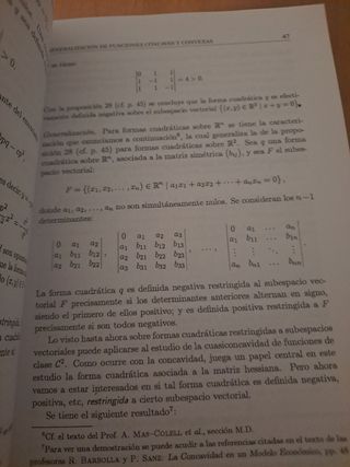 Matemáticas avanzadas aplicadas a la economia