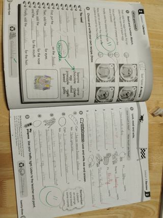 New High five. Activity book.2° primaria