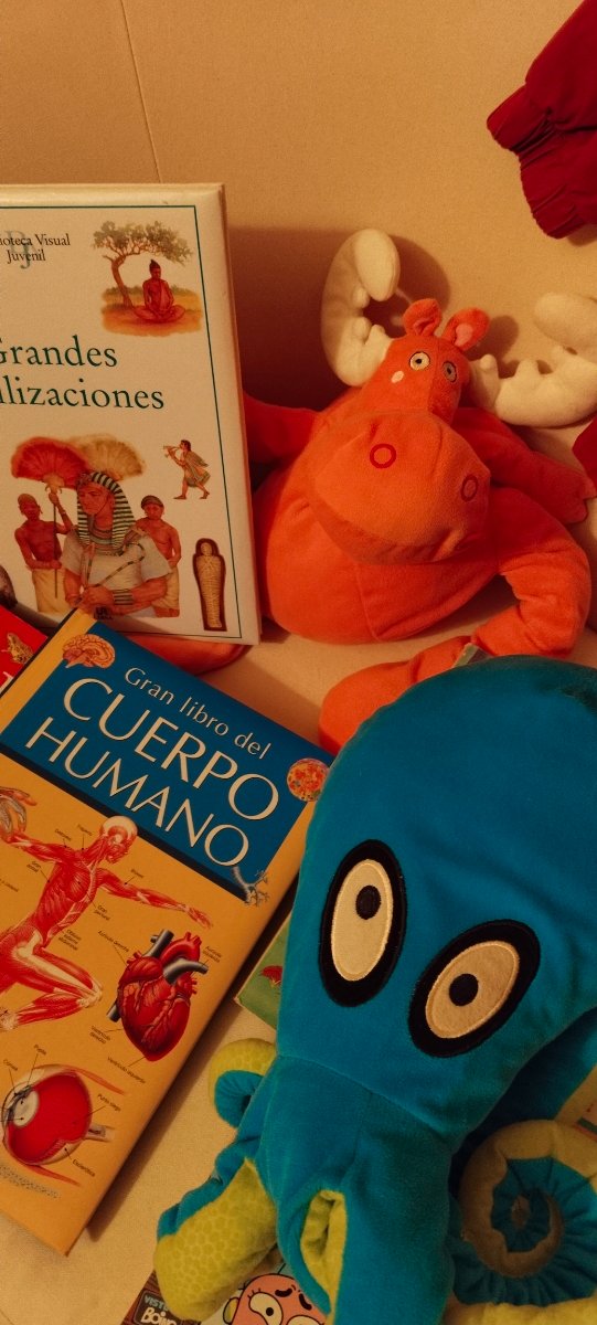 Pack infantil libros y peluches