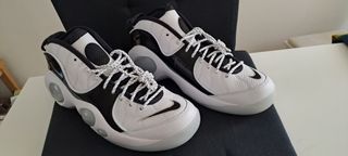 Nike Air Zoom Flight 95 kidd nba 🏀 jordan lebron