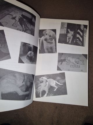 Marley & eu de John Grogan