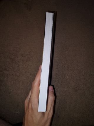 A Pantera das Nuvens de Kenneth Oppel