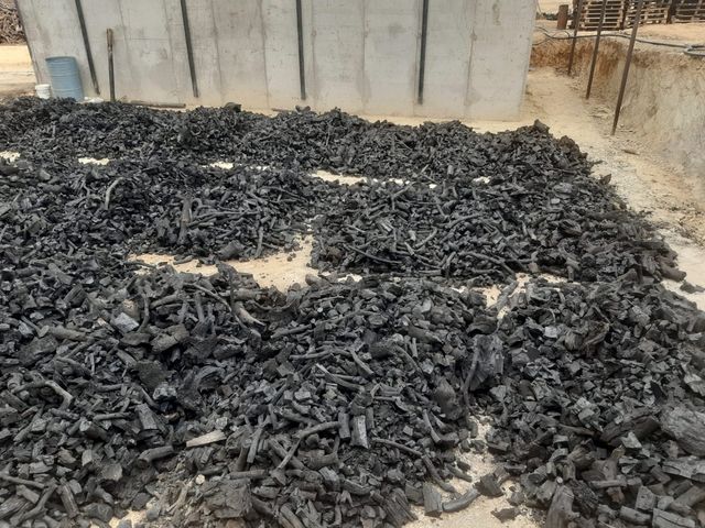 Carbon de encina vegetal