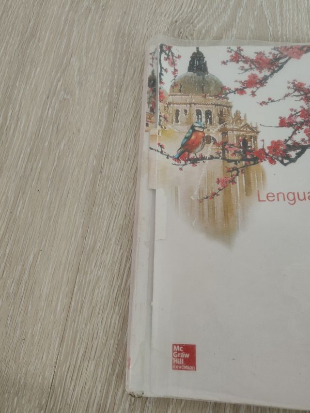 Lengua castellana y literatura 4ESO