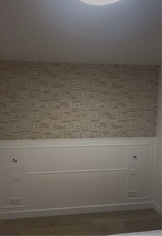 Pintor profesional / Papel pintado