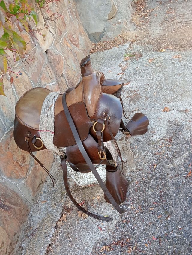 Silla montar caballo