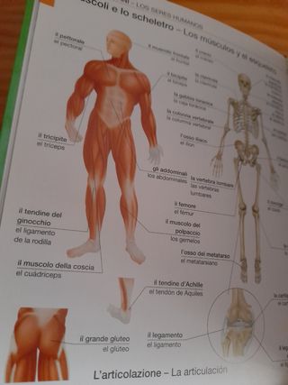 Diccionario Italiano-Español