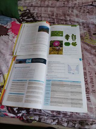 Biología y geología 1 bachillerato edelv