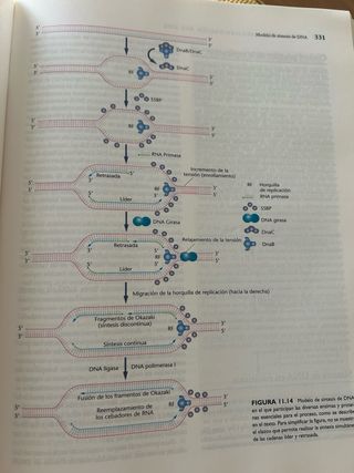Libro conceptos de genetica