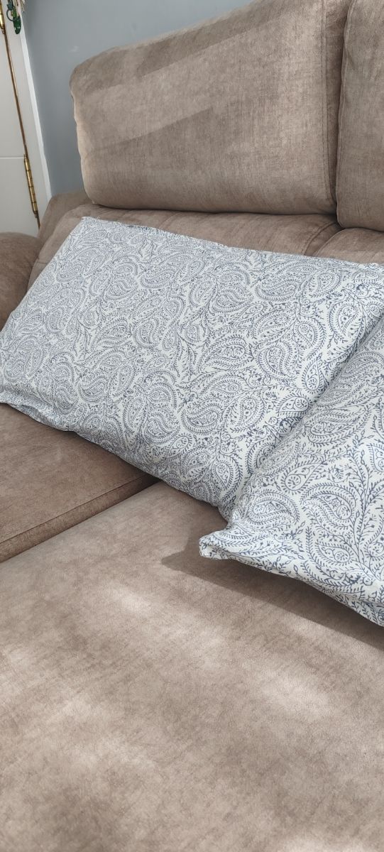 2 almohadas biscoelásticas + protectores + regalo