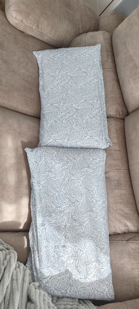 2 almohadas biscoelásticas + protectores + regalo