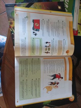 Lengua Castellana y Literatura 6°Primari