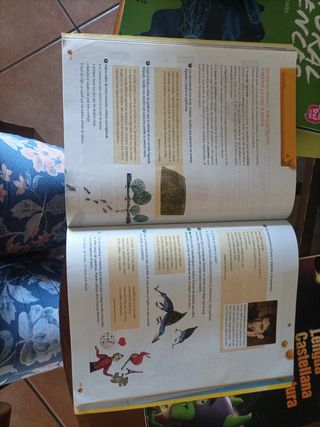 Lengua Castellana y Literatura 6°Primari