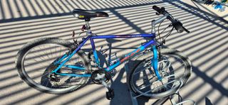 BICICLETA CLASICA. BH SUPRA 100