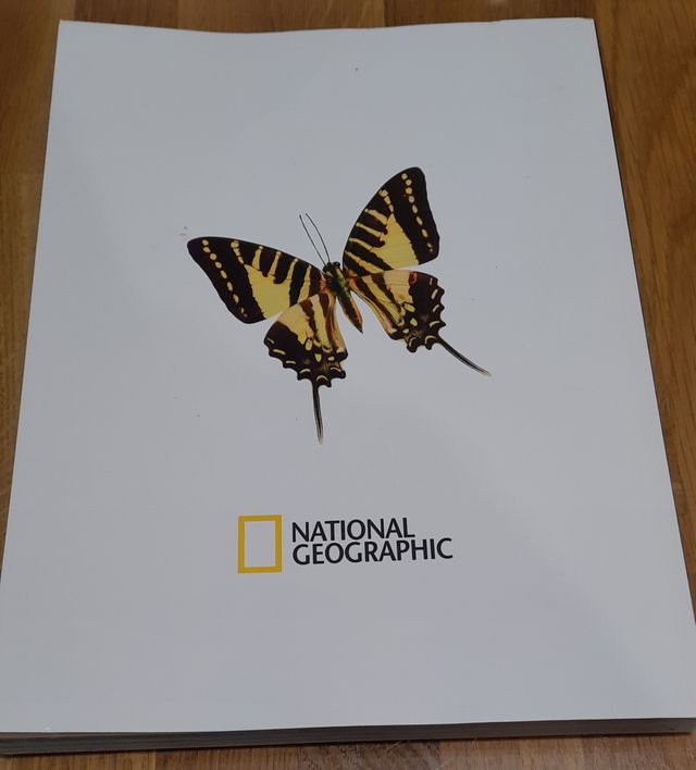 Livro Recordes Animais National Geographic