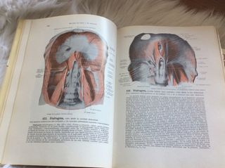 Libros de anatomía humana