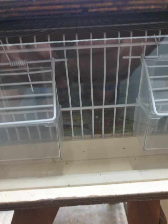 Trasportino per canarini 