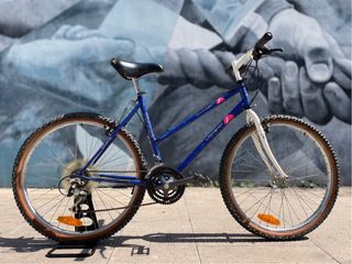 Bicicleta de montaña