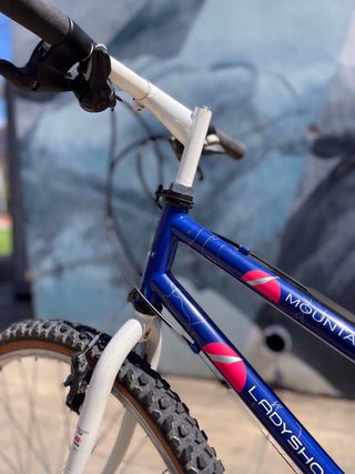 Bicicleta de montaña