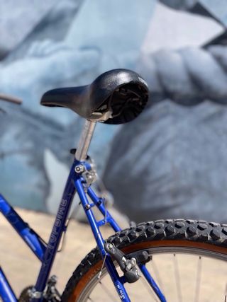 Bicicleta de montaña